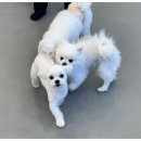 송이유치원 이미지