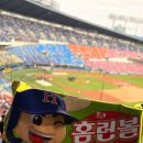 잠실야구장 직관 두산베어스 I 1루 네이비 304블럭 I정중앙 시야 후기 브리셀프라이 꿀팁