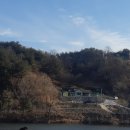 청산산약초