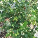 시온농장 이미지