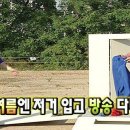 항돈