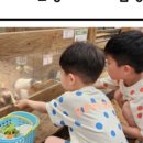 가평곤충농장 이미지