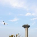 감상발전소 이미지