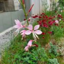 The채움공인중개사사무소 이미지