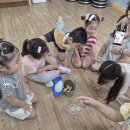 원암어린이집 이미지