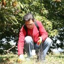 홍성1농장 이미지