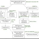 Re: 폐 말트림프종 치료방법 궁금합니다 이미지