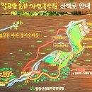 팔공산 금화 자연휴양림 숲길 산책로 둘레길 이미지