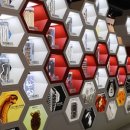 기생충박물관 이미지