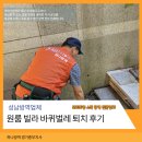 성남 바퀴벌레 퇴치 업체 빌라 원룸 작업 후기