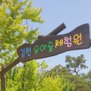 김천 유아숲체험원 이미지