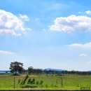 파스쿠찌(강서점) 이미지