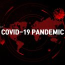 메디비젼 이미지