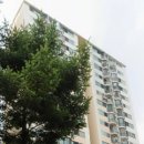 신내동-013 이미지