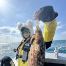 이뿌고이뿌개 이미지