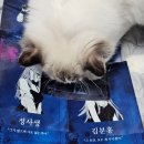 별 | 머더 미스터리 4인 평점 낮은 별의 추락 후기