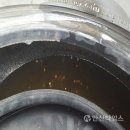 상록수환경방역 네이버블로그