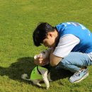 펫츠고트래블 이미지