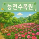 능전 | 함안 가볼만한곳 "능전수목원" 지금 가면 더 예쁠 것 같은 숲 힐링