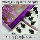아이즈 | 낫띵베럴, 탱글리 포 아이즈 눈건강영양제 후기