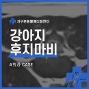 개봉동물병원 이미지