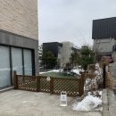 슈앤트리 | [용인애견미용] 슈앤트리 후기 (가격, 예약하는 법, 위치, 주변 카페)