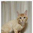 송정동물메디컬센터 이미지