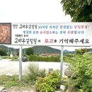 고바우문구 이미지