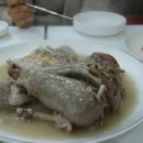 오늘은오리다