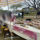 오산천 | 경기도 오산천 벚꽃축제 후기 | 아기랑 벚꽃 나들이, 동탄 벚꽃 명소