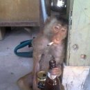 카이로스 PC방 이미지