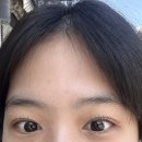 모도리브로우 | 성남 태평역 모도리브로우 속눈썹펌 후기 , 가격