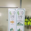 호호팜 네이버블로그