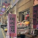 구피샵 티스토리