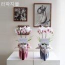 라파지블