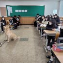 금강중학교 이미지