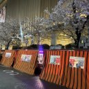 세븐일레븐 부산서면롯데점 이미지