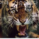 별에서뭘따지