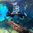 HOTEL BONITO(호텔보니또) | 부부 세계일주 10박 11일 브라질 여행 경비 치안 꿀팁 총정리