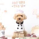 해피멍 | [공지] 📸 해피멍데이 유치원 포토데이이번 달 컨셉은… 🍫 두쫀쿠 만들기 DAY 💝