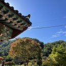 맘스터치죽변점 이미지