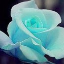 초등책놀이지도사 자격증 과정 이미지