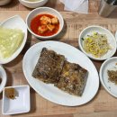 멋내는 애견 이미지