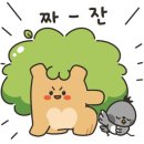 영남태권도장 이미지