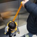 디자인스킨스타필드 - 하남시 미사대로 750 | 디자인스킨스타필드