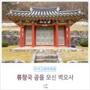 벽오사 이미지