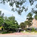 호텔와인 | 메이필드 호텔 2025 디오니소스 와인페어후기 &amp; 예약정보