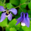 이박삼일 이미지