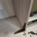 용이e편한세상 2단지 네이버블로그