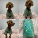 봉곡동251 이미지